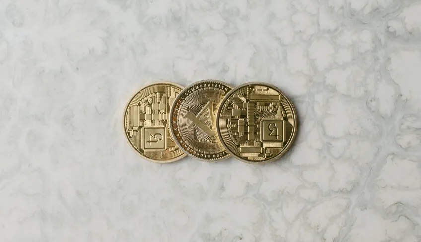 Adobe Lightroom Classic : Photo Editing